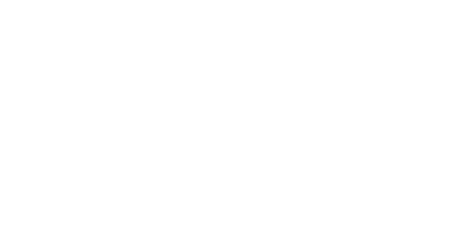 R3levé
